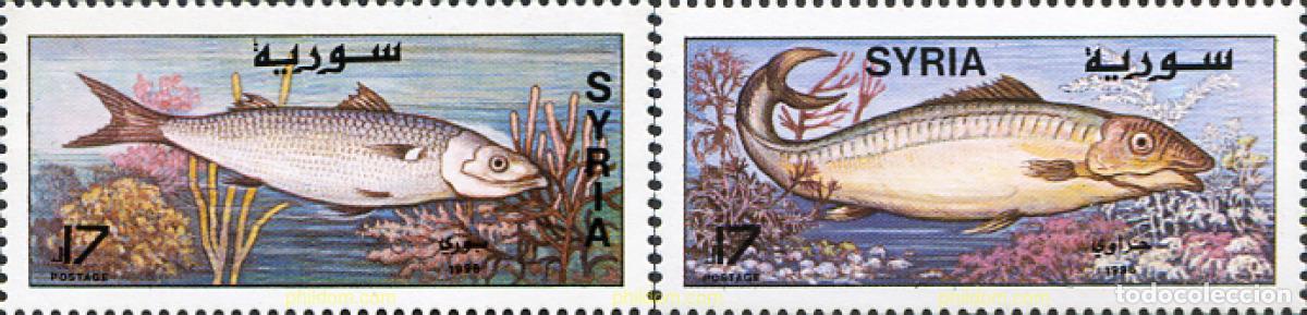 Sellos: 91943 MNH SIRIA 1997 PECES