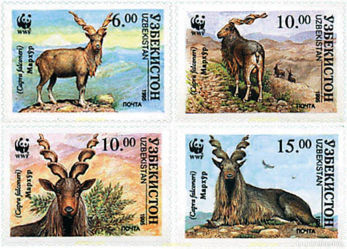 Sellos: 74141 MNH UZBEKISTAN 1995 MARKHOR