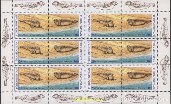 Sellos: 276408 MNH TURKMENISTAN 1993 FOCA DEL CASPIO