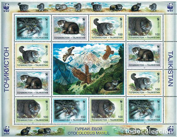 Sellos: 12707 MNH TAYIKISTAN 1996 GATO DE PALLAS