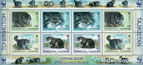 Sellos: 191795 MNH TAYIKISTAN 1996 GATO DE PALLAS