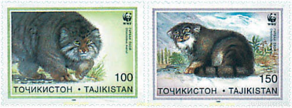 Sellos: 367936 MNH TAYIKISTAN 1996 GATO DE PALLAS