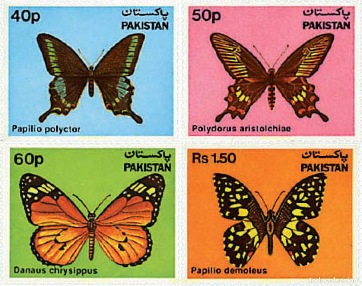 Sellos: 76756 MNH PAKISTAN 1983 MARIPOSAS