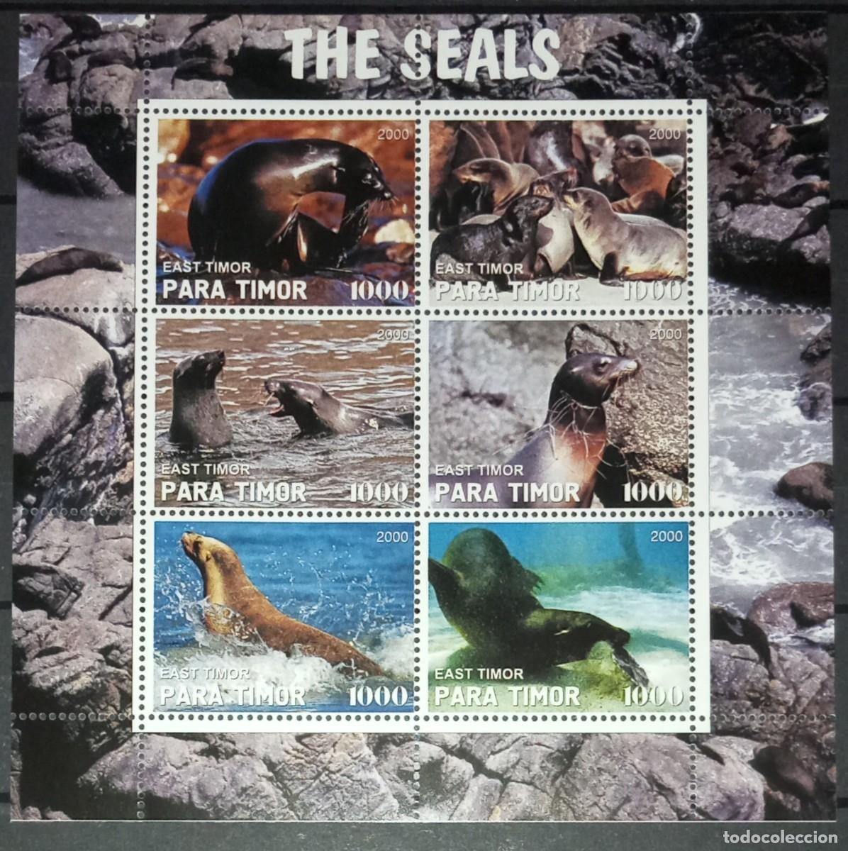 Stamps: TIMOR 2000 SHEET MNH FAUNA MAMIFEROS SEALS FOCAS PHOQUES FOCHE SEEHUNDE MARINE LIFE