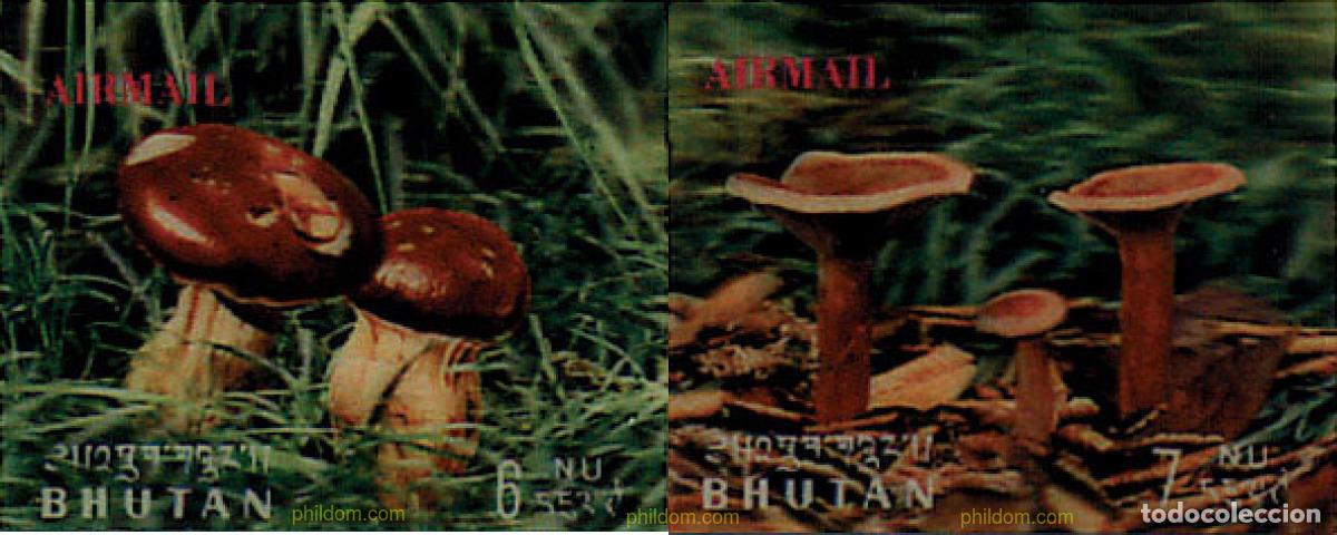 Sellos: 257256 MNH BHUTAN 1973 SETAS