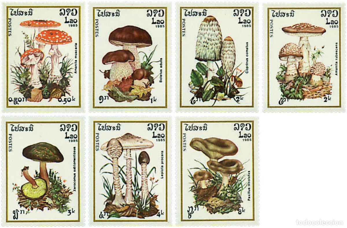 Sellos: 35058 MNH LAOS 1985 SETAS