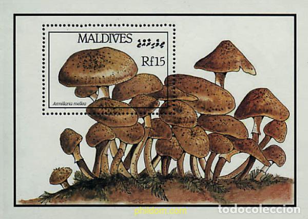 Sellos: 220933 MNH MALDIVAS 1986 SETAS