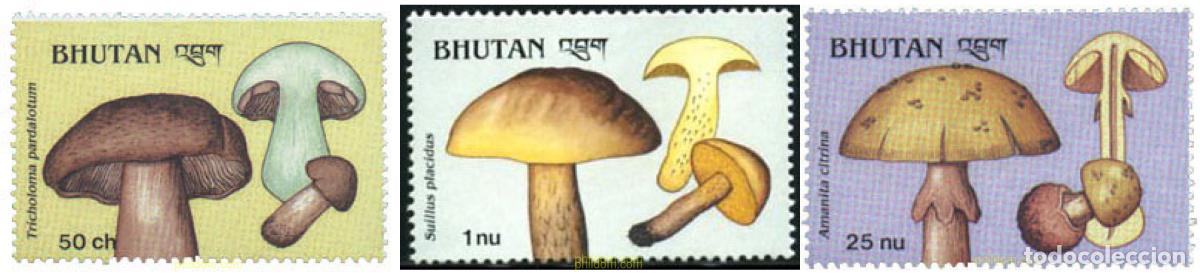 Sellos: 292401 MNH BHUTAN 1989 SETAS