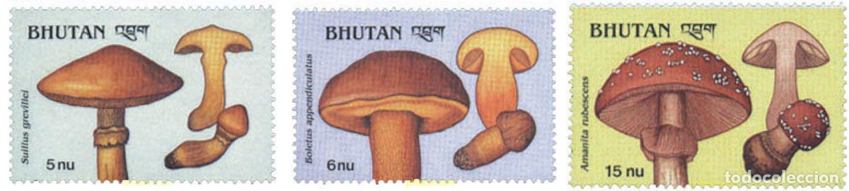 Sellos: 292725 MNH BHUTAN 1989 SETAS