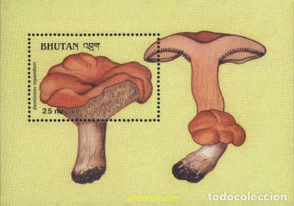 Sellos: 293104 MNH BHUTAN 1989 SETAS
