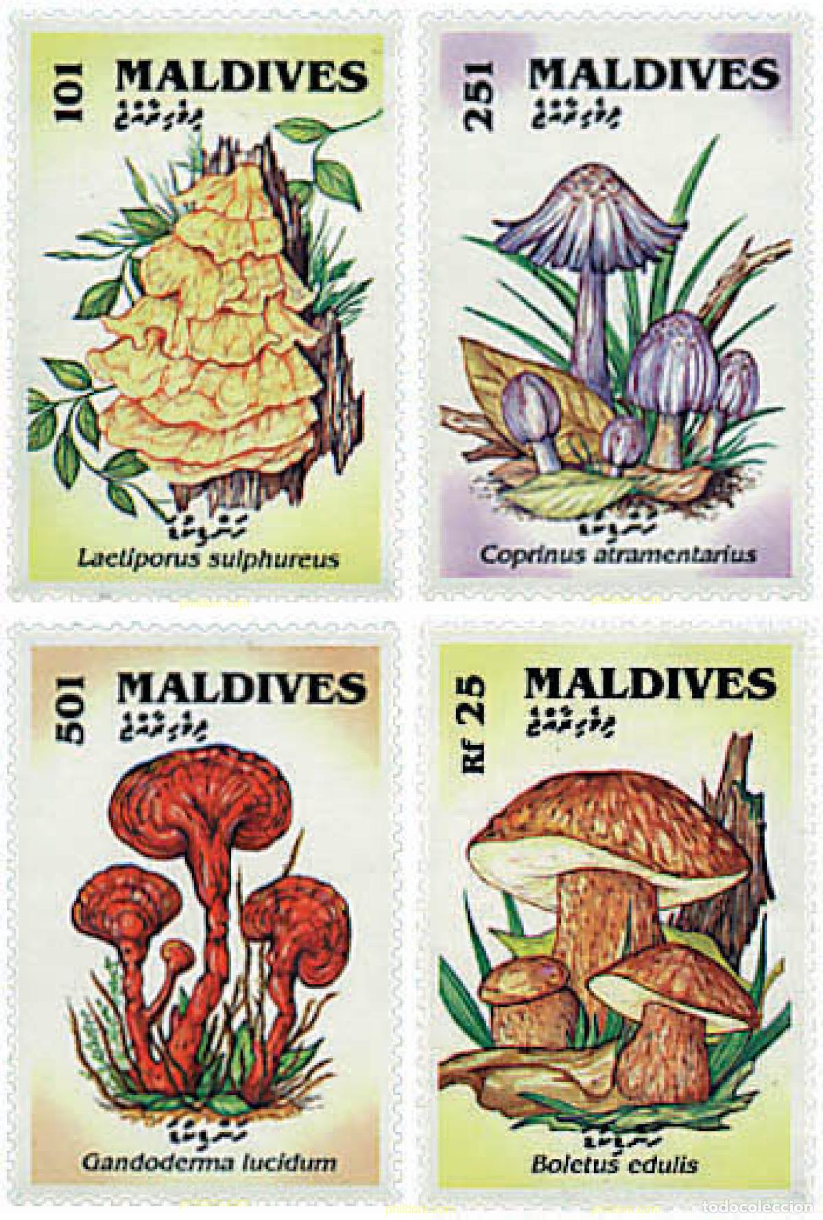 Sellos: 221145 MNH MALDIVAS 1992 SETAS