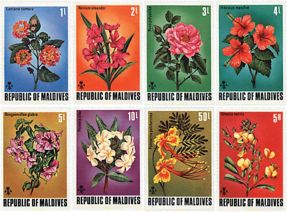 Sellos: 95308 MNH MALDIVAS 1973 FLORA DE LAS MALDIVAS