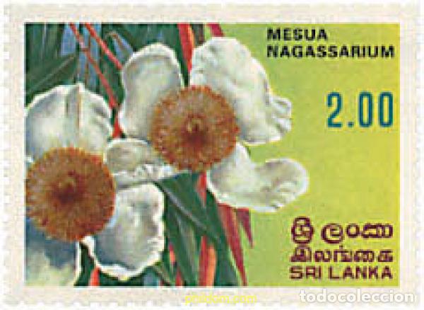 Sellos: 676497 MNH SRI LANKA 1982 FLORES DE SRI LANKA