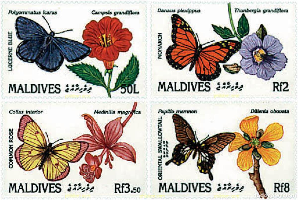 Sellos: 301396 MNH MALDIVAS 1991 FLORES Y MARIPOSAS