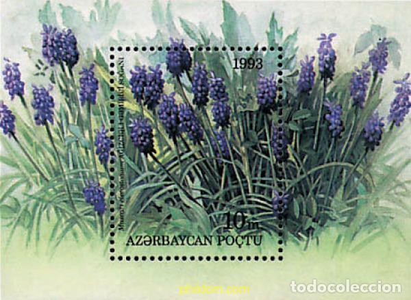 Sellos: 83820 MNH AZERBAIYAN 1993 FLORES