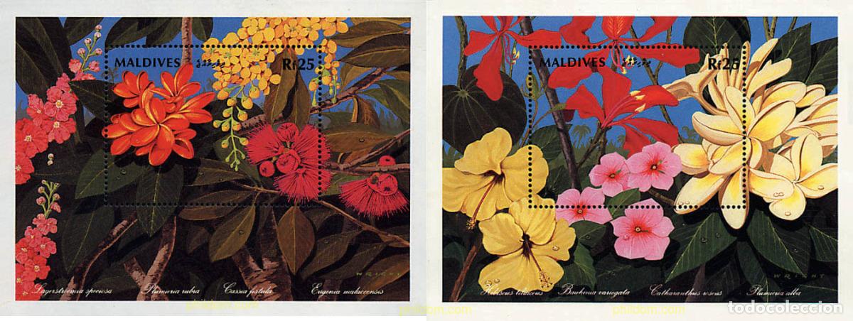 Sellos: 95266 MNH MALDIVAS 1992 FLORES NACIONALES