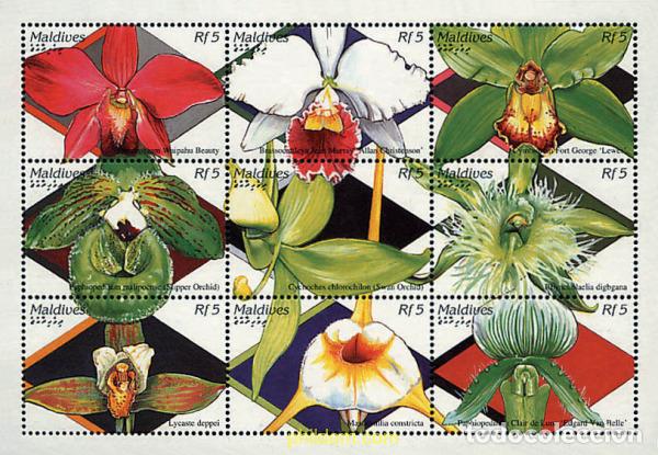 Sellos: 291575 MNH MALDIVAS 1995 FLORES