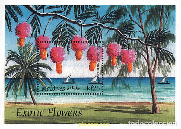 Sellos: 293006 MNH MALDIVAS 1997 FLORES EXOTICAS