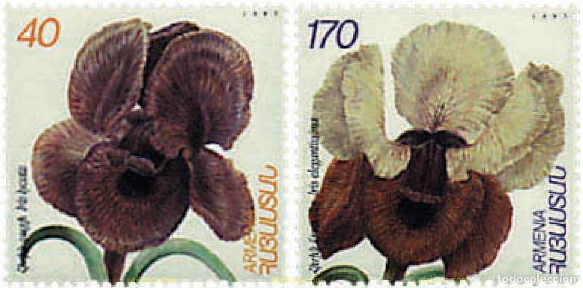 Sellos: 96445 MNH ARMENIA 1997 LIRIOS
