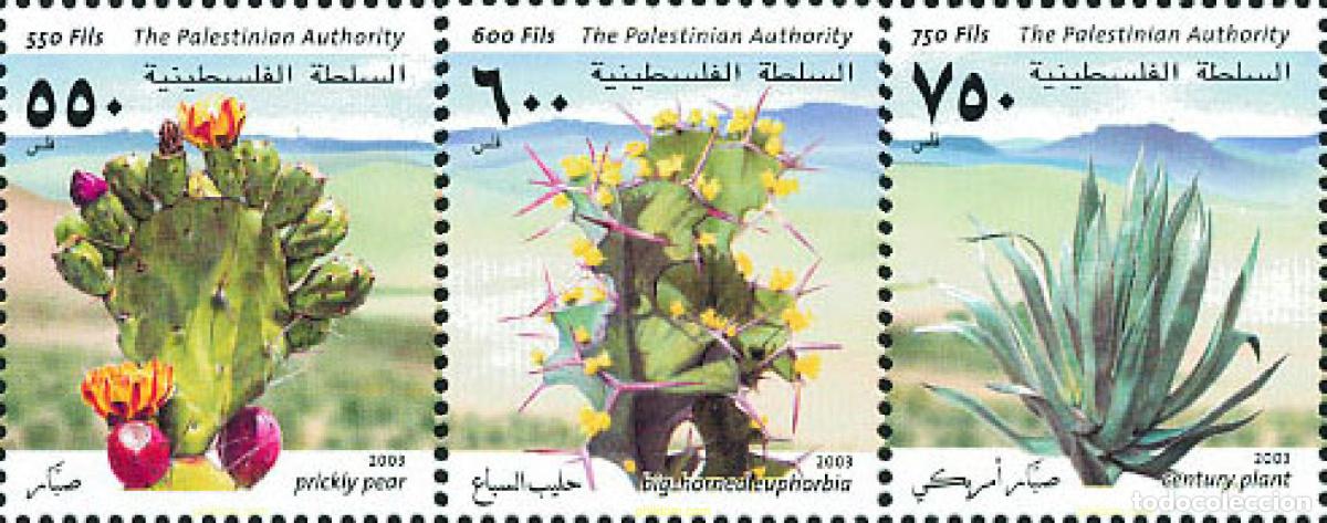 Sellos: 125171 MNH PALESTINA 2003 CACTUS