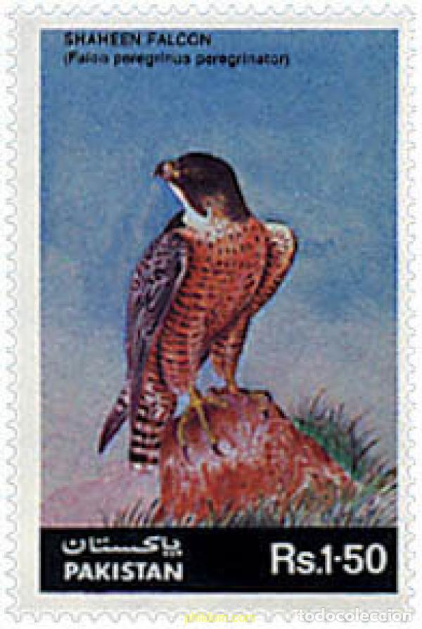 Sellos: 35536 MNH PAKISTAN 1986 PROTECCION DE LA NATURALEZA