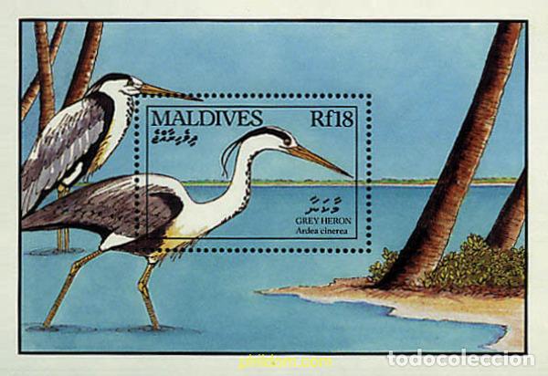 Sellos: 340650 MNH MALDIVAS 1990 AVES MARINAS