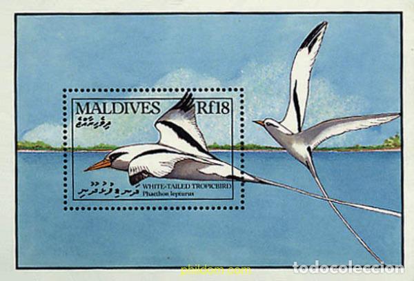 Sellos: 340651 MNH MALDIVAS 1990 AVES MARINAS