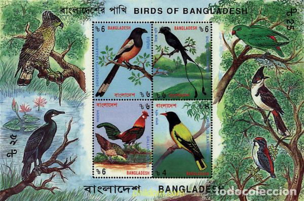 Sellos: 36154 MNH BANGLADESH 1994 PAJAROS DE BANGLADESH