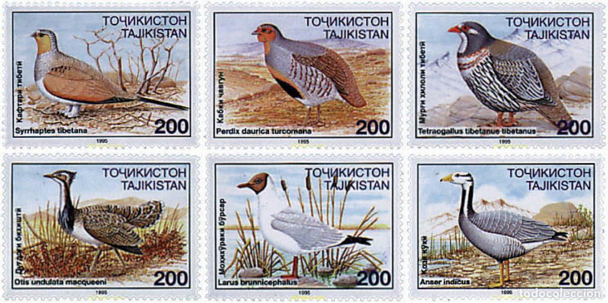 Sellos: 71963 MNH TAYIKISTAN 1996 AVES-CAZA