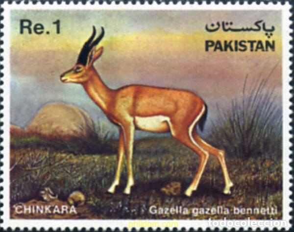 Sellos: 29851 MNH PAKISTAN 1983 PROTECCION DE LA NATURALEZA