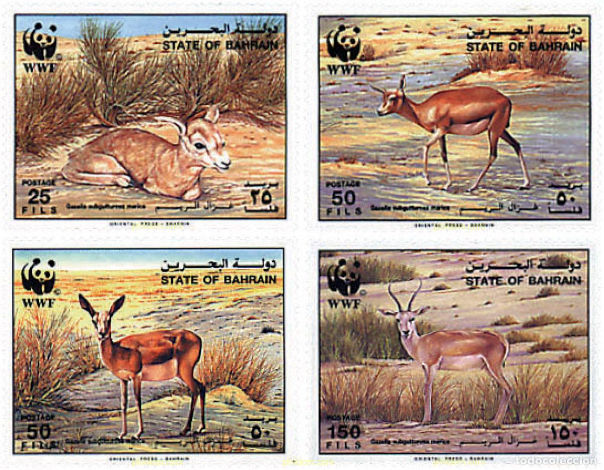Sellos: 74110 MNH BAHREIN 1993 GACELA GOITERED