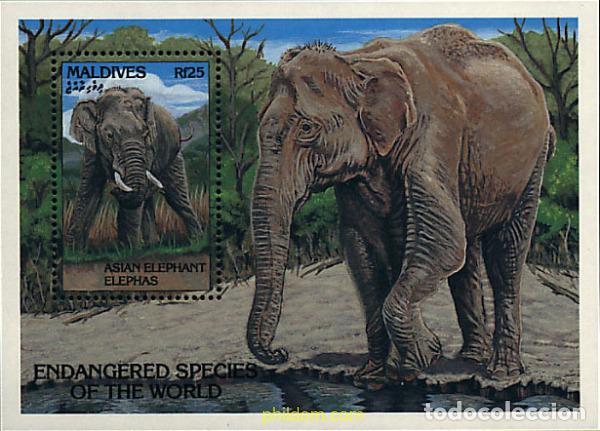 Sellos: 340817 MNH MALDIVAS 1993 FAUNA EN PELIGRO DE EXTINCION