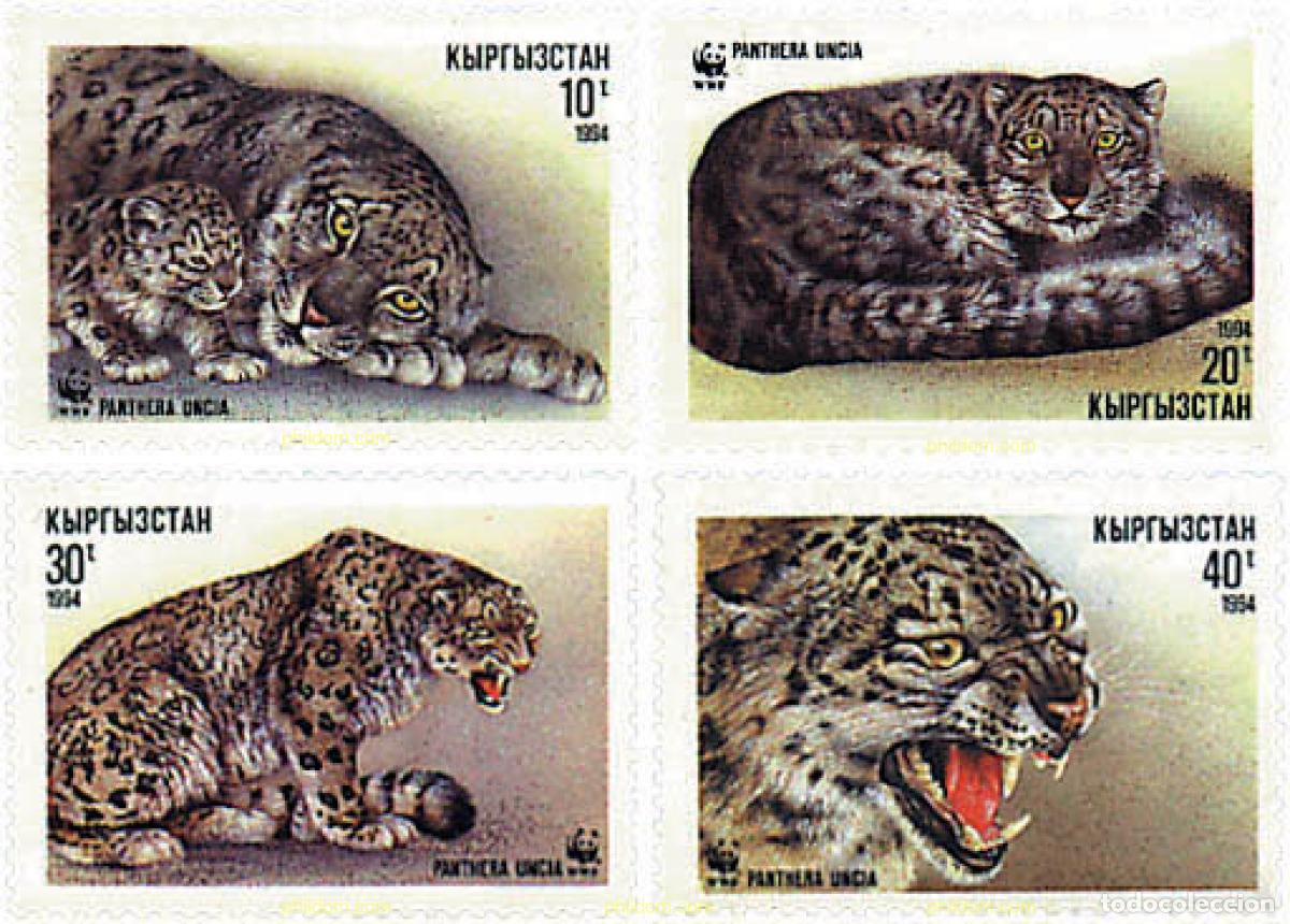 Sellos: 74125 MNH KIRGUIZISTAN 1994 LEOPARDO DE LAS NIEVES