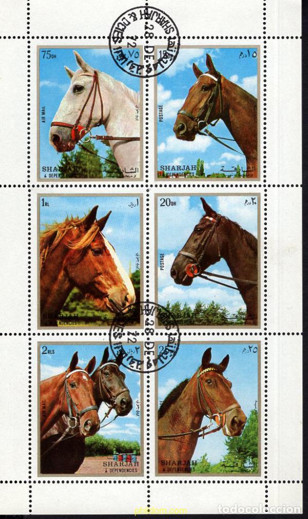 Sellos: 667979 USED SHARJAH 1972 CABALLOS