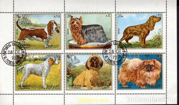 Sellos: 667981 USED SHARJAH 1972 PERROS DE RAZA