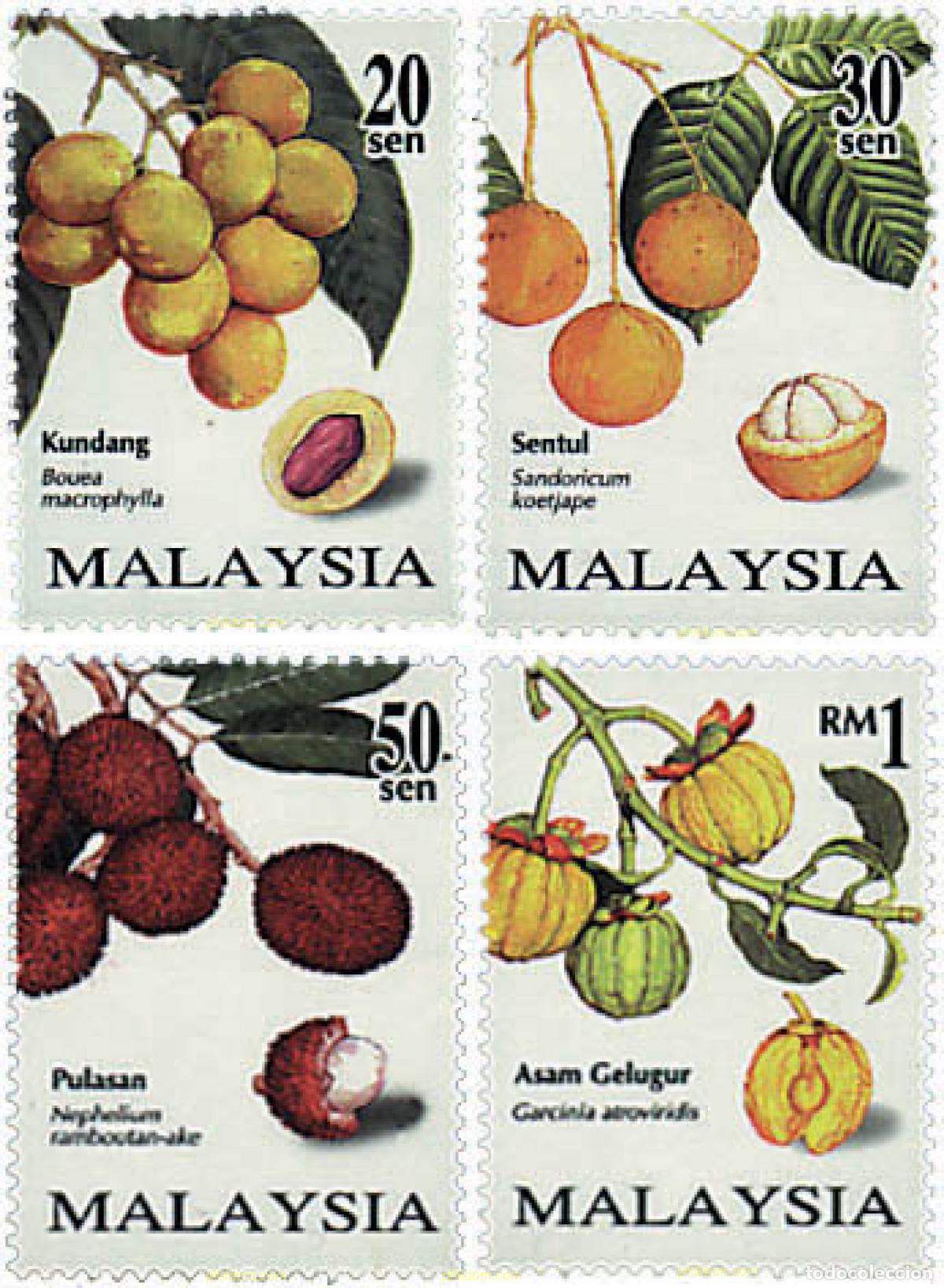 Sellos: 91586 MNH MALASIA 1998 FRUTOS