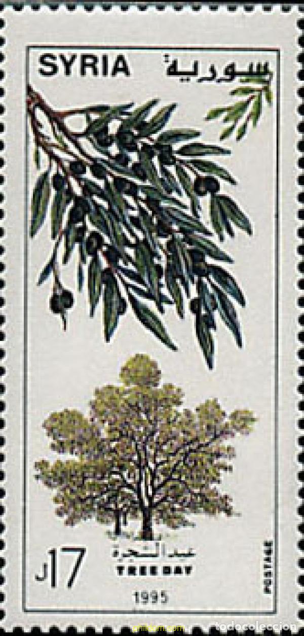 Sellos: 91873 MNH SIRIA 1996 DIA DEL ARBOL
