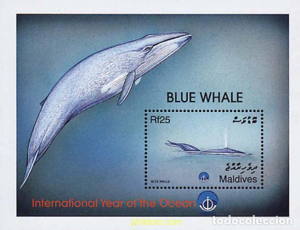 Sellos: 667026 MNH MALDIVAS 1999 A&Ntilde;O INTERNACIONAL DE LOS OCEANOS