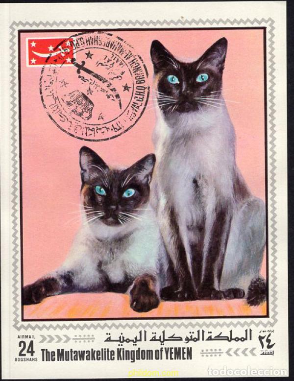 Sellos: 667914 USED YEMEN. Reino 1970 GATOS
