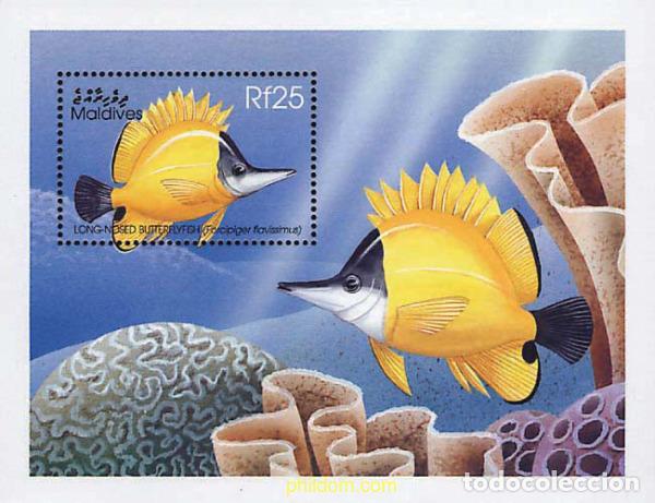 Sellos: 340944 MNH MALDIVAS 1998 FAUNA MARINA