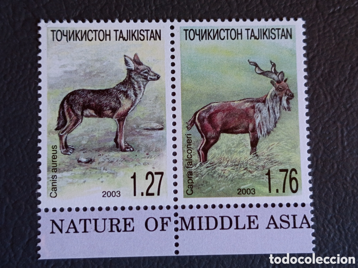 Sellos: Tayikist&aacute;n 2003 Fauna Asia Central chacal markhor par MNH Michel 258