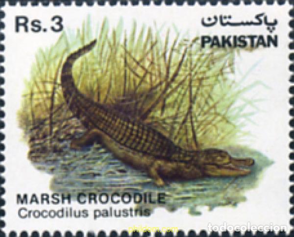 Sellos: 28262 MNH PAKISTAN 1983 FAUNA