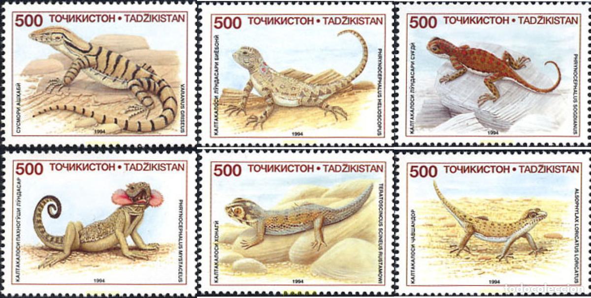 Sellos: 29089 MNH TAYIKISTAN 1995 REPTILES