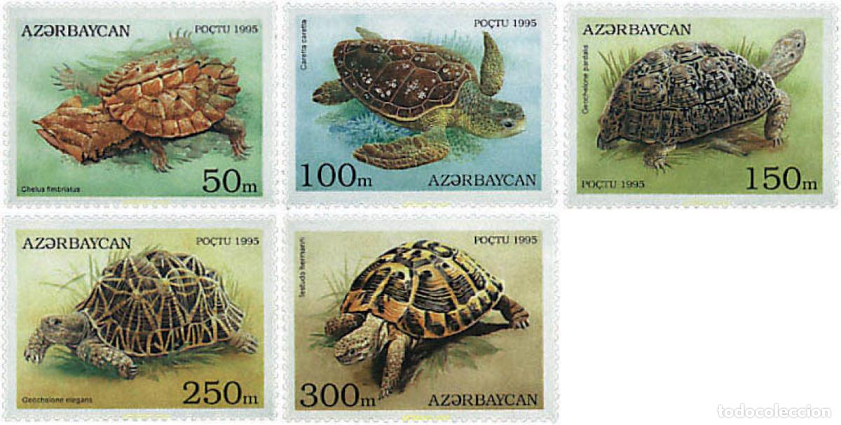 Sellos: 83849 MNH AZERBAIYAN 1995 TORTUGAS
