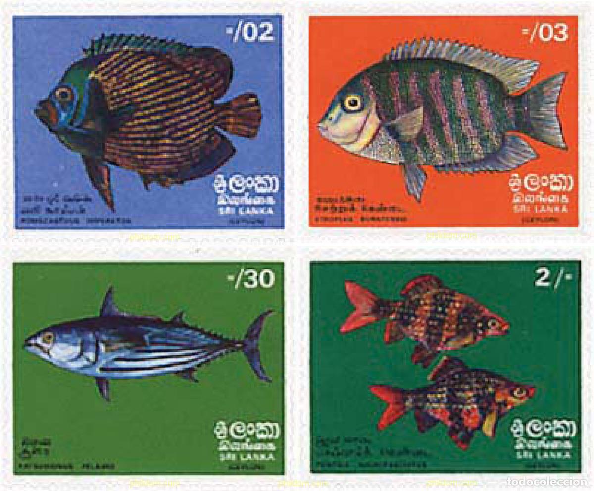 Sellos: 28374 MNH SRI LANKA 1972 PECES