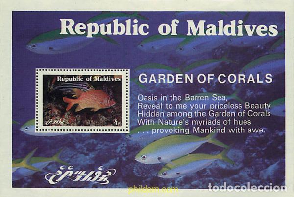 Sellos: 31638 MNH MALDIVAS 1980 FAUNA MARINA