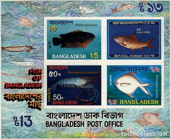 Sellos: 54566 MNH BANGLADESH 1983 FAUNA MARINA