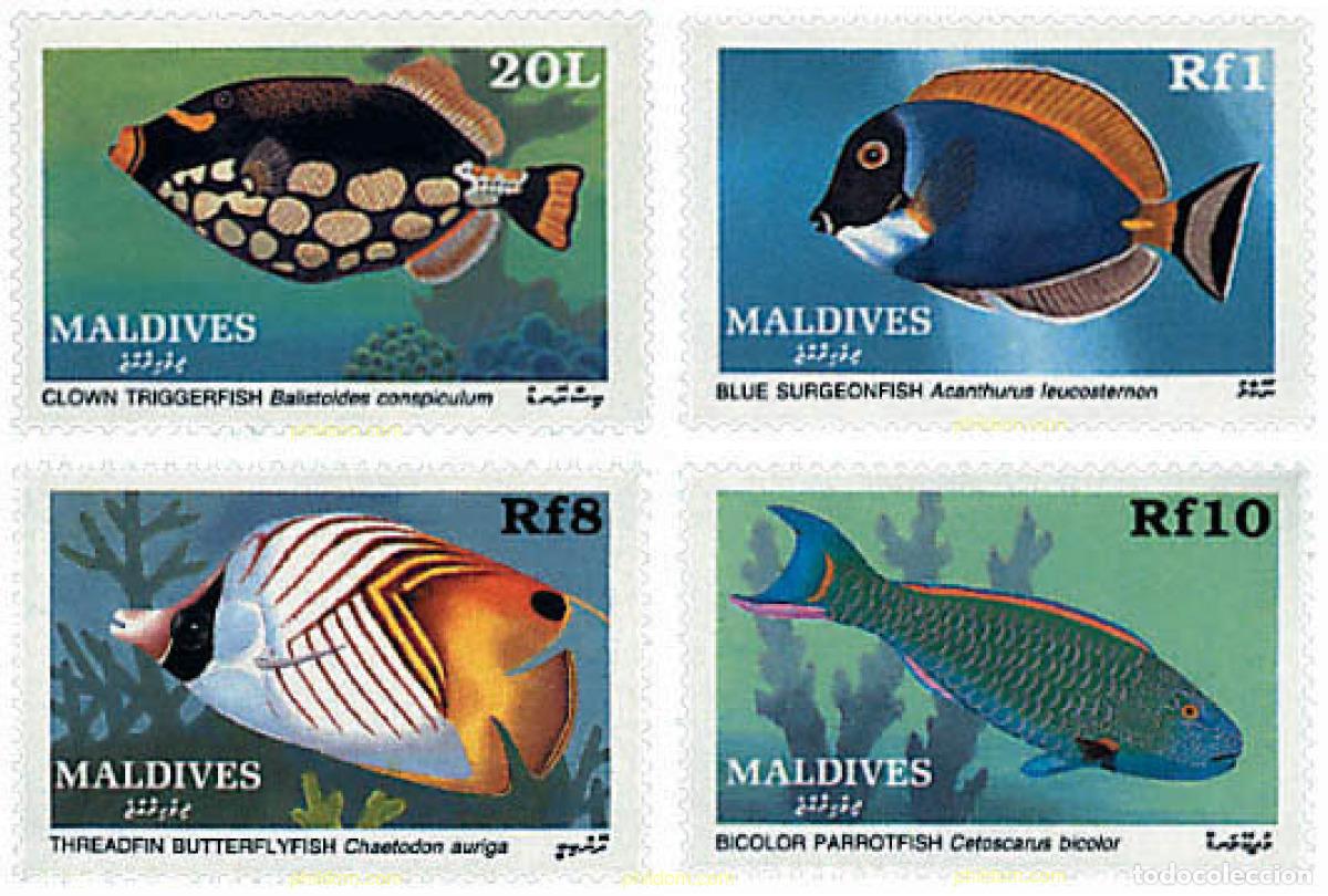 Sellos: 332968 MNH MALDIVAS 1989 PECES