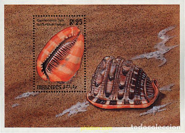 Sellos: 340861 MNH MALDIVAS 1993 CONCHAS