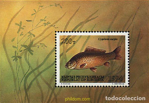 Sellos: 54582 MNH KIRGUIZISTAN 1994 PECES